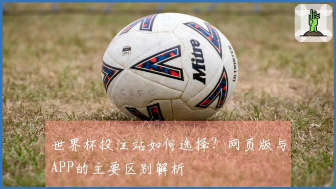 世界杯投注站如何选择？网页版与APP的主要区别解析