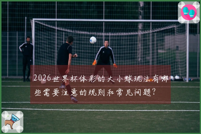 2026世界杯体彩的大小球玩法有哪些需要注意的规则和常见问题？