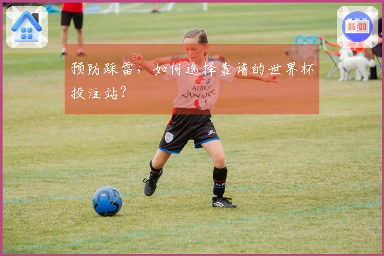 预防踩雷，如何选择靠谱的世界杯投注站？