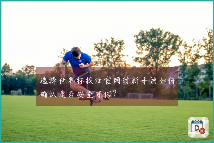 选择世界杯投注官网时新手该如何确认是否安全可信？