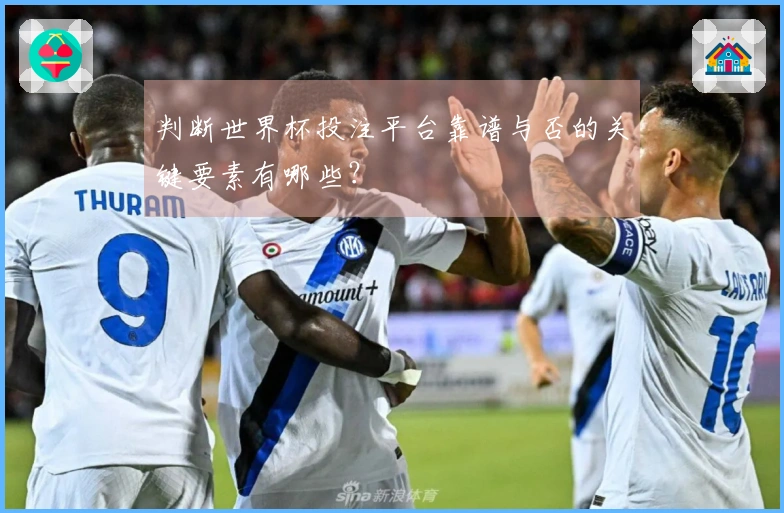 判断世界杯投注平台靠谱与否的关键要素有哪些？