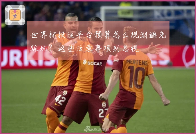 世界杯投注平台预算怎么规划避免踩坑？这些注意事项别忽视
