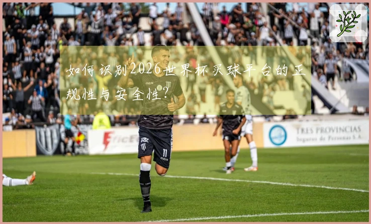 如何识别2026世界杯买球平台的正规性与安全性？