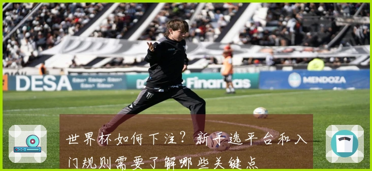 世界杯如何下注?新手选平台和入门规则需要了解哪些关键点