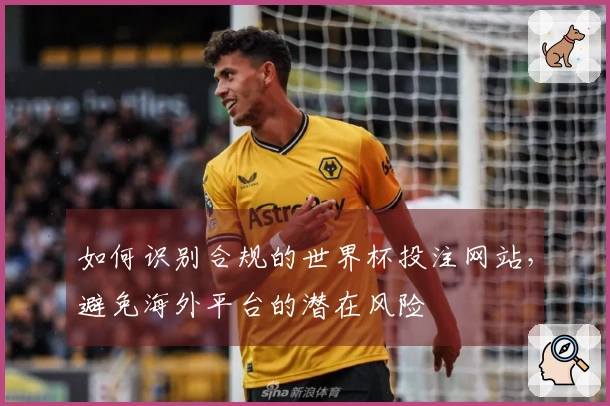 如何识别合规的世界杯投注网站，避免海外平台的潜在风险