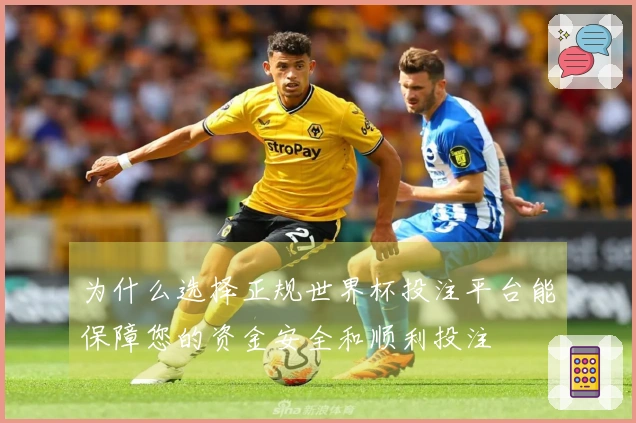 为什么选择正规世界杯投注平台能保障您的资金安全和顺利投注