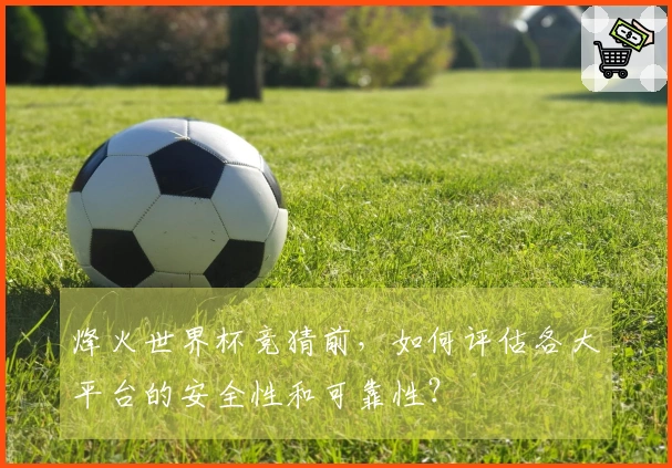 烽火世界杯竞猜前，如何评估各大平台的安全性和可靠性？