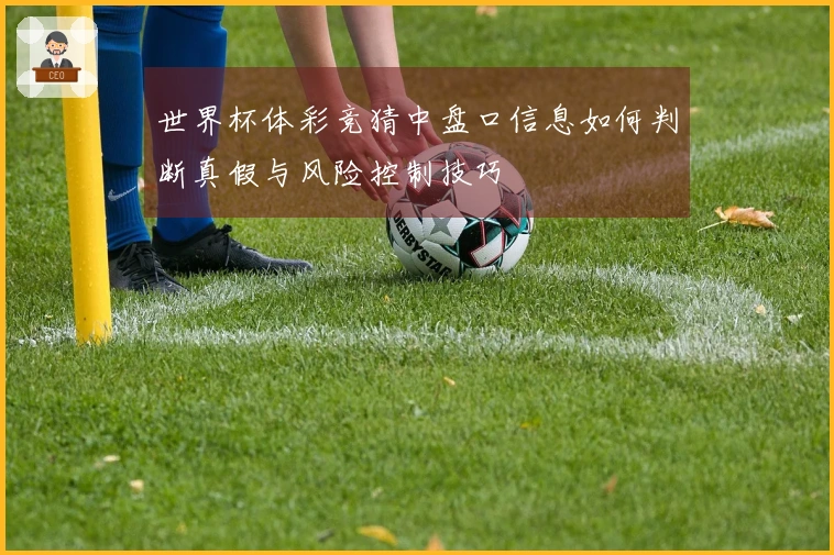 世界杯体彩竞猜中盘口信息如何判断真假与风险控制技巧