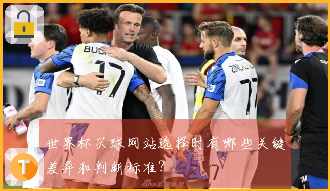 世界杯买球网站选择时有哪些关键差异和判断标准？