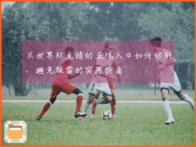 买世界杯竞猜的正规入口如何识别，避免踩雷的实用指南