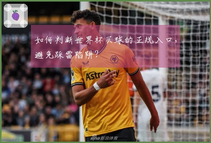 如何判断世界杯买球的正规入口，避免踩雷陷阱？