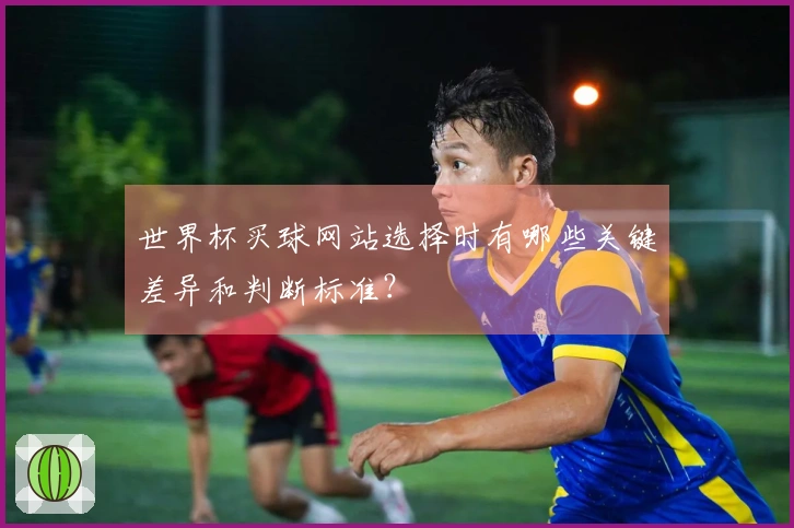 世界杯买球网站选择时有哪些关键差异和判断标准？