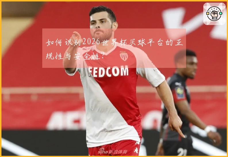 如何识别2026世界杯买球平台的正规性与安全性？