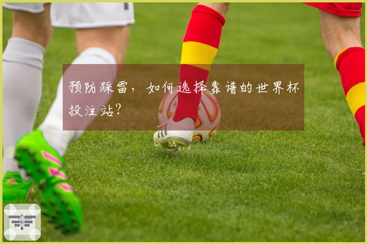 预防踩雷，如何选择靠谱的世界杯投注站？