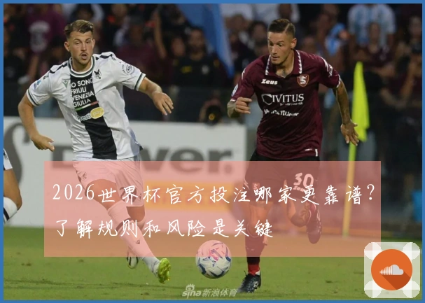 2026世界杯官方投注哪家更靠谱？了解规则和风险是关键