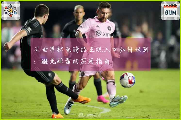 买世界杯竞猜的正规入口如何识别，避免踩雷的实用指南