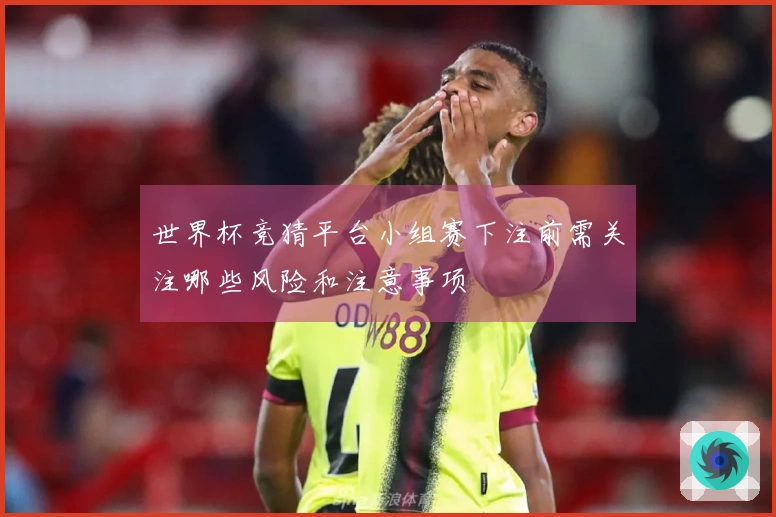 世界杯竞猜平台小组赛下注前需关注哪些风险和注意事项