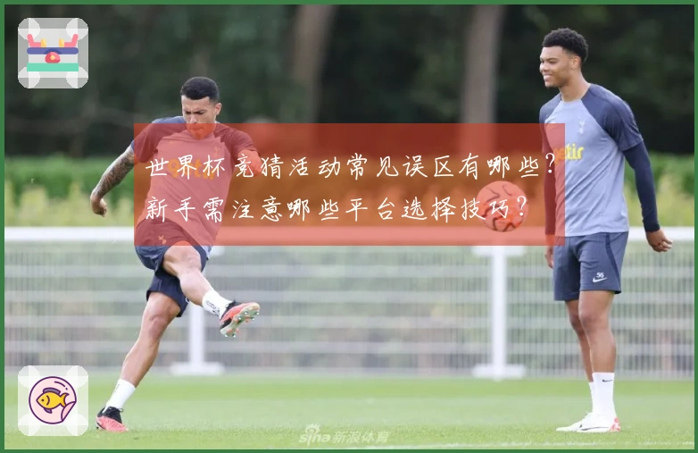 世界杯竞猜活动常见误区有哪些?新手需注意哪些平台选择技巧?