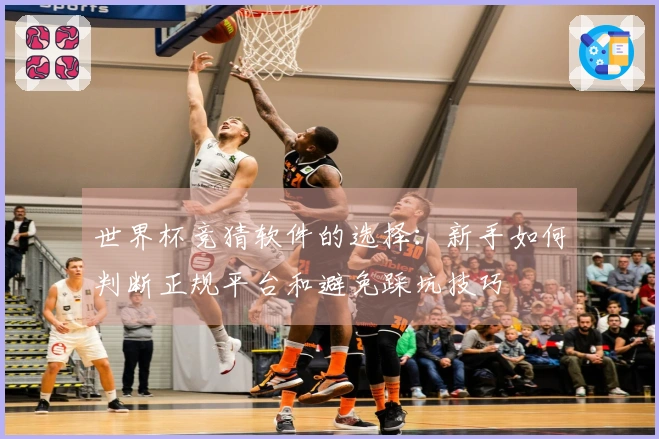 世界杯竞猜软件的选择：新手如何判断正规平台和避免踩坑技巧