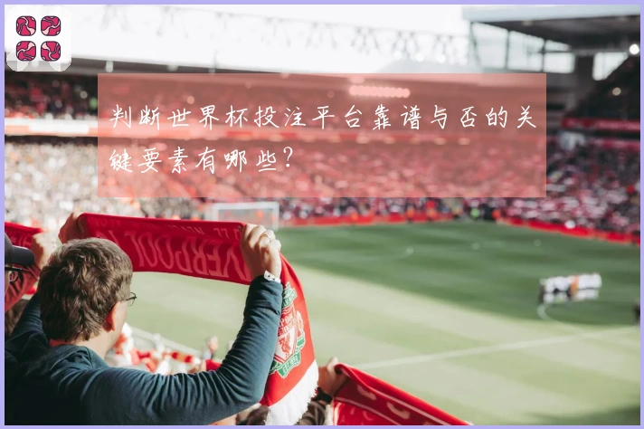 判断世界杯投注平台靠谱与否的关键要素有哪些？