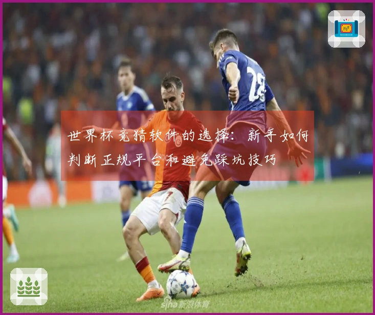 世界杯竞猜软件的选择：新手如何判断正规平台和避免踩坑技巧
