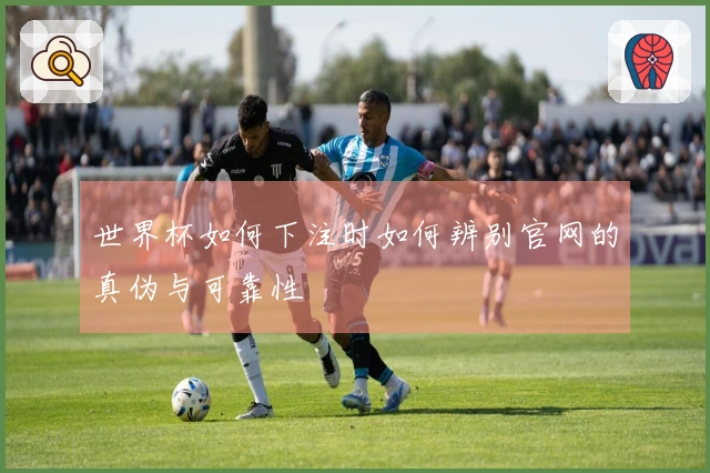 世界杯如何下注时如何辨别官网的真伪与可靠性