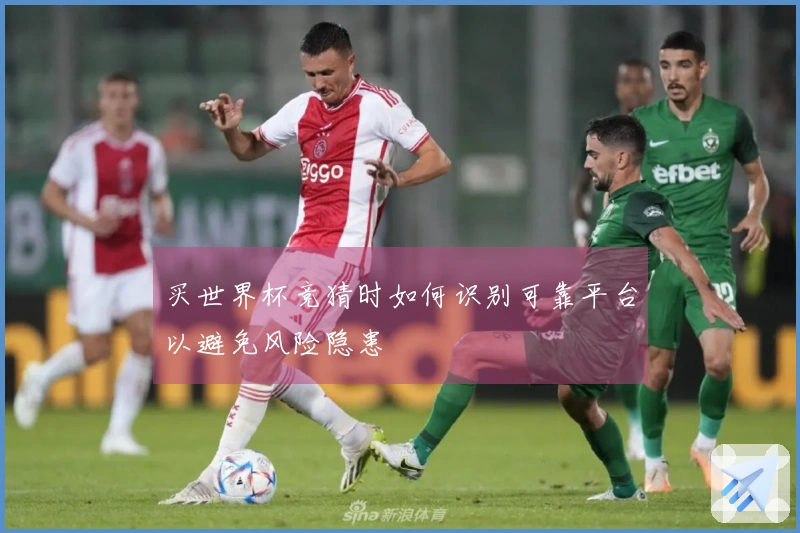 买世界杯竞猜时如何识别可靠平台以避免风险隐患