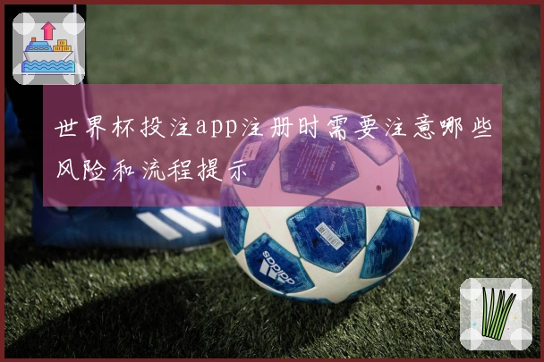 世界杯投注app注册时需要注意哪些风险和流程提示