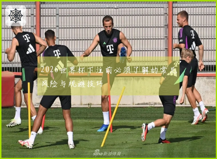 2026世界杯下注前必须了解的常见风险与规避技巧
