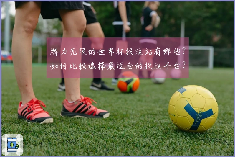 潜力无限的世界杯投注站有哪些?如何比较选择最适合的投注平台?
